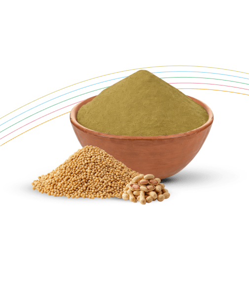 Spray-dried Hydrolyzed <br/> Vegetable Protein Powder